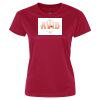 Ladies' Short Sleeve Performance T-Shirt Thumbnail