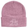 Knit Beanie Thumbnail